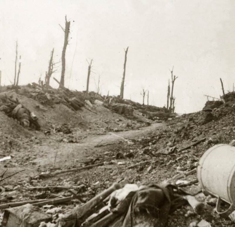 90 percent of the battalion from Newfoundland, Canada, died on the opening day of battle.