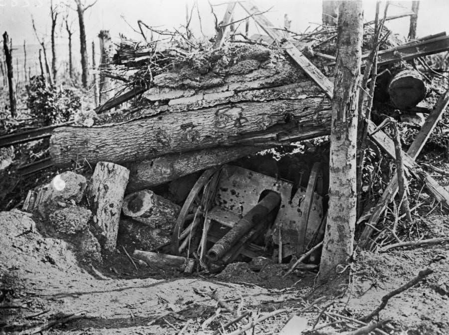 A German cannon buried under uprooted trees.