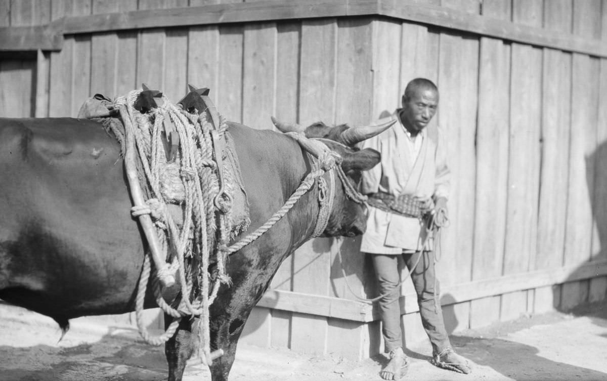 The End Of Meiji Period: Stunning Historical Photos Capturing Biggest Era Of Change In Japan