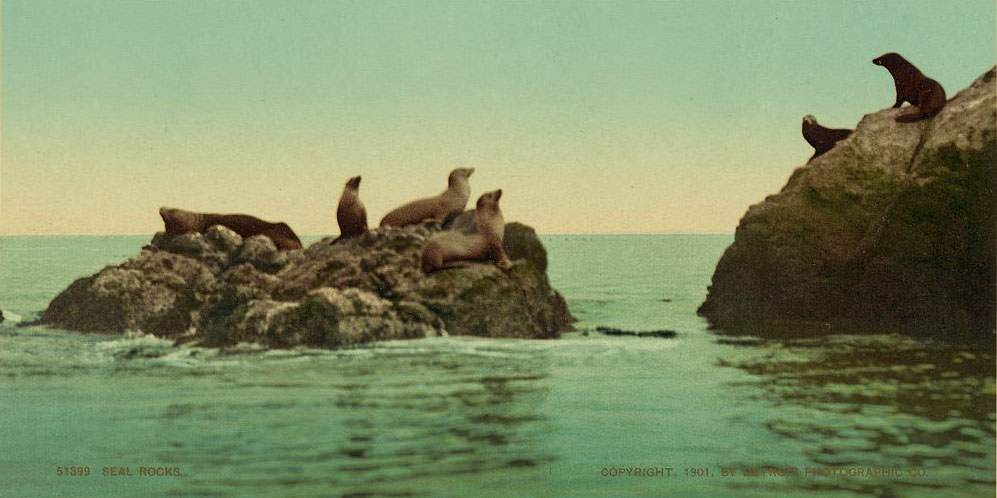 Seal Rocks, 1890