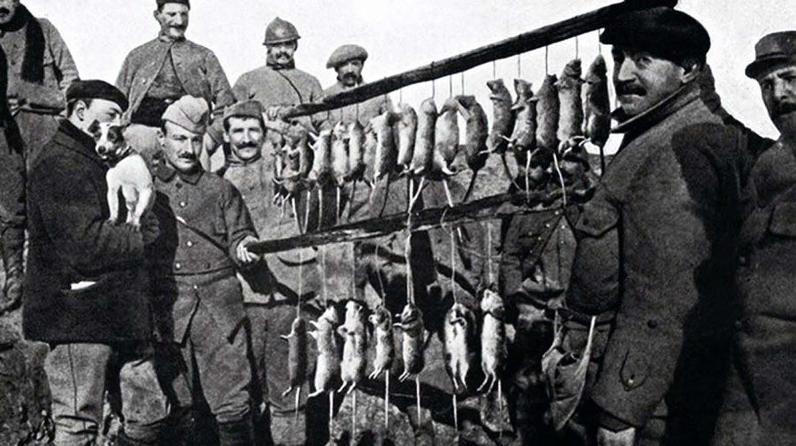 The result of 15 minute’s rat-hunting in a French trench. Note the Jack Russell Terrier in the gentleman’s arms at left.