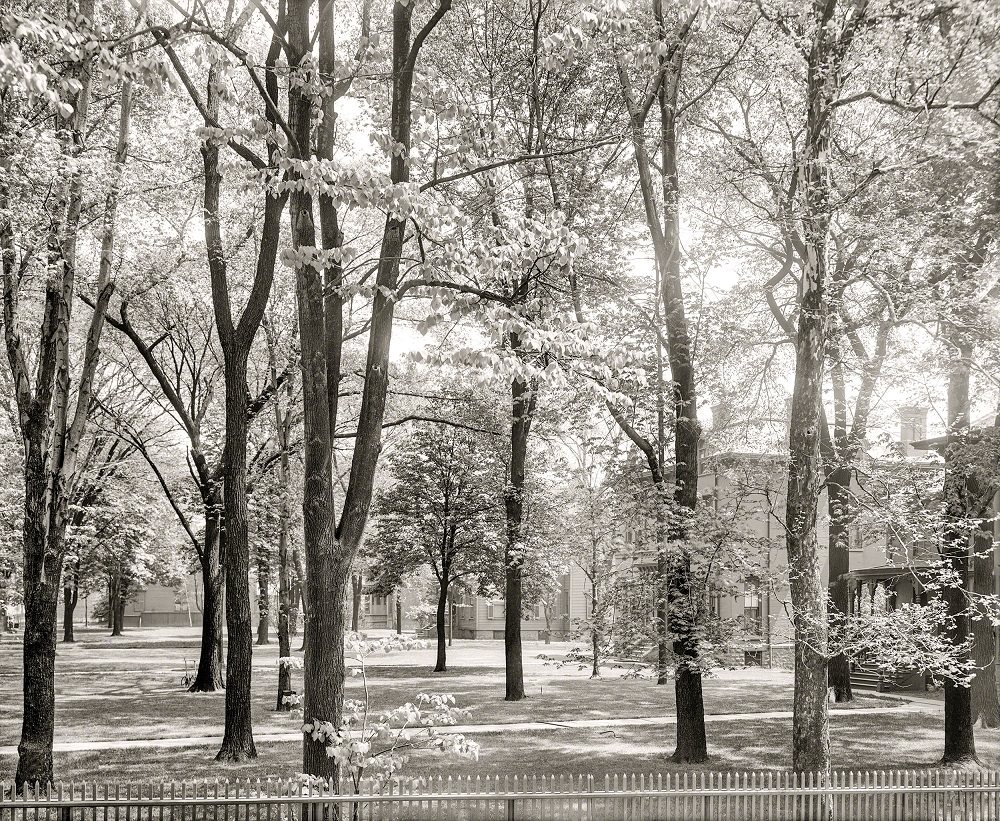 Residences on Jefferson Avenue, Detroit, 1906