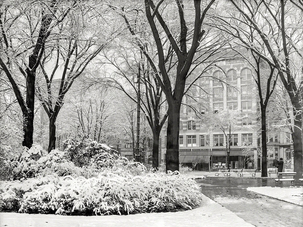 A Bed of "Snow-Ball" is the uncharacteristically fanciful title of this 1907 entry from the Detroit Publishing catalogue, showing Grand Circus Park and the Fine Arts Building.