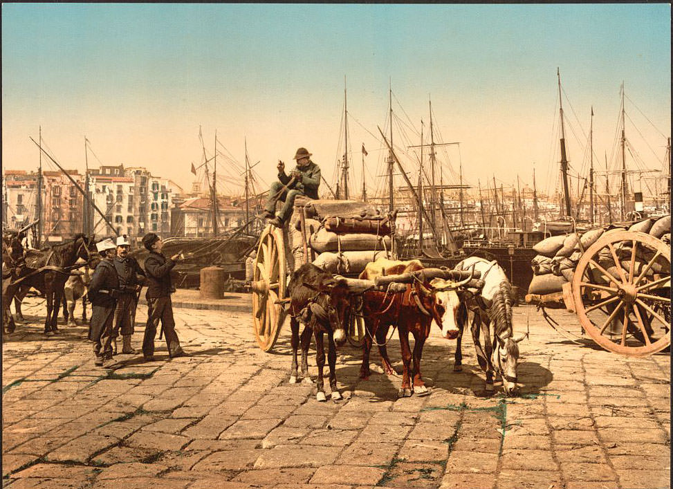 The wharf, Naples, 1890s