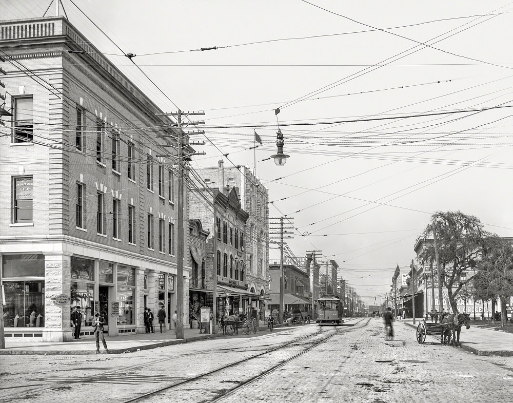 Franklin Street, Tampa, Next stop, Hyde Park. Ormond, Florida, 1905