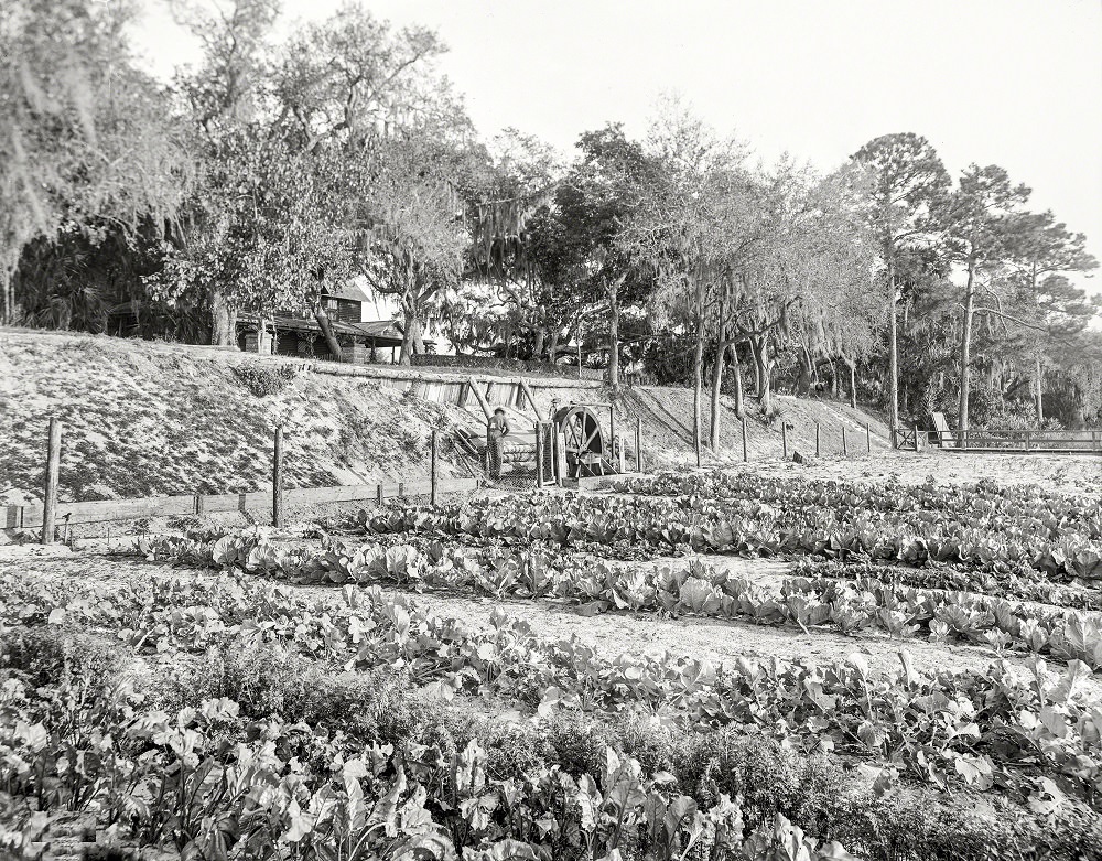 Volusia County, Florida, 1903