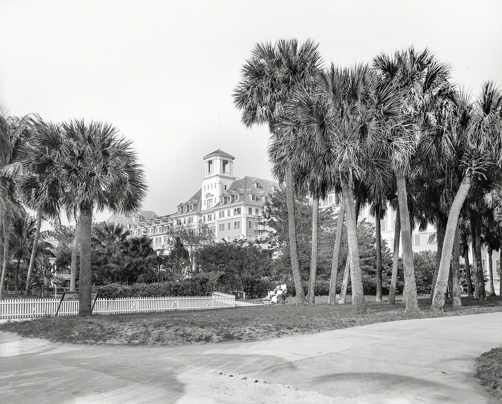 A glimpse of the Royal Poinciana. An entrance to Henry Flagler's immense resort hotel, back when Florida was starting to be a thing. Palm Beach circa 1901
