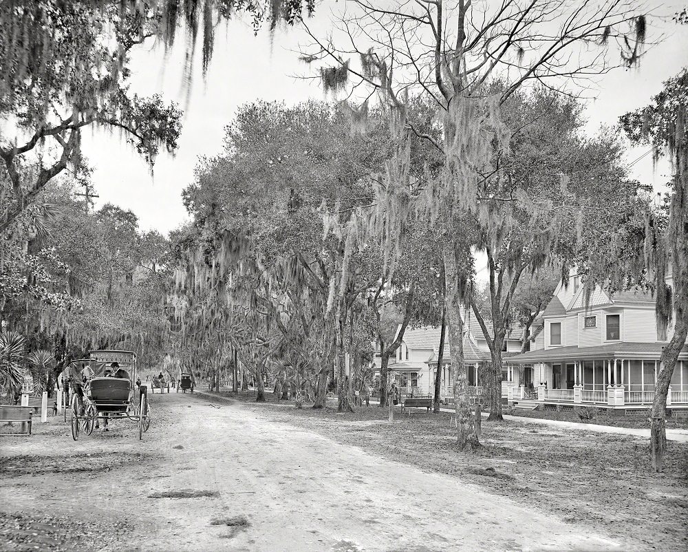 Ridgewood Avenue, Daytona, Florida, 1904
