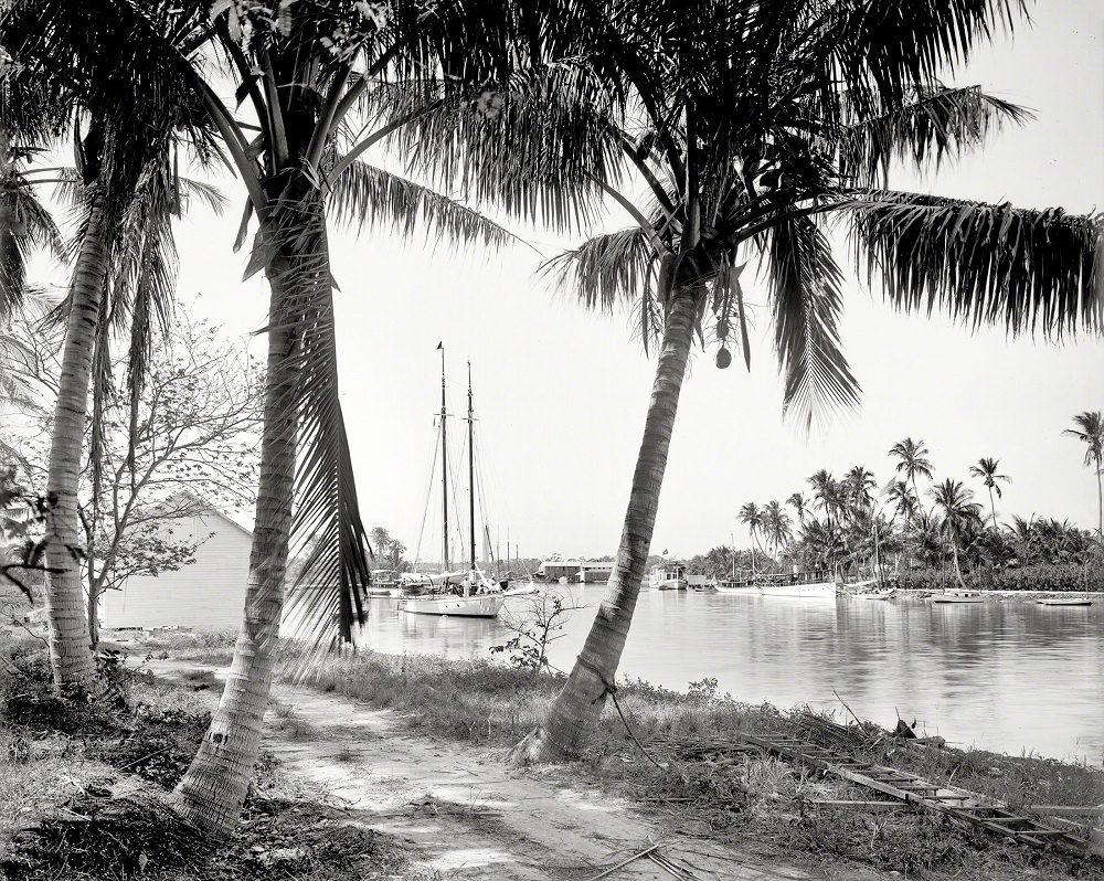 On the Miami River, Florida, 1904