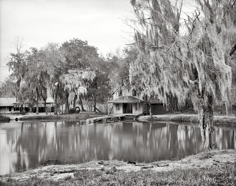 DeLeon Springs near DeLand, Florida, 1904