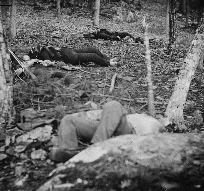 Four soldiers lie dead in the woods near Gettysburg.