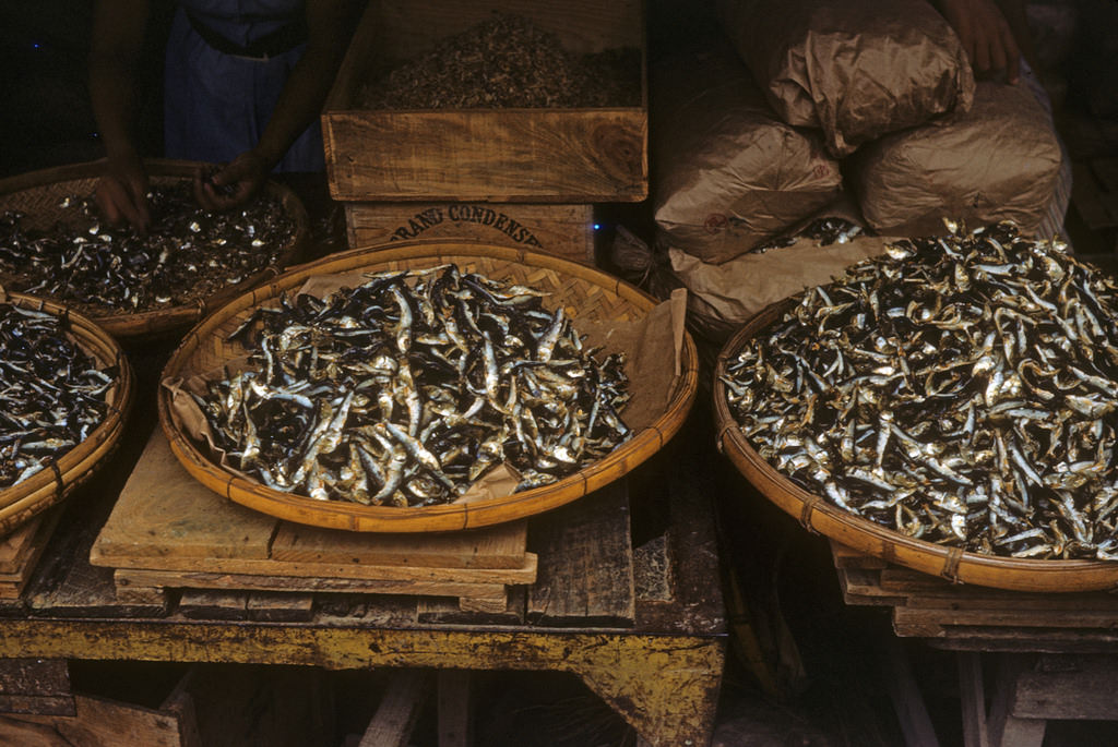 Baskets of dried fish, Okinawa, 1950s