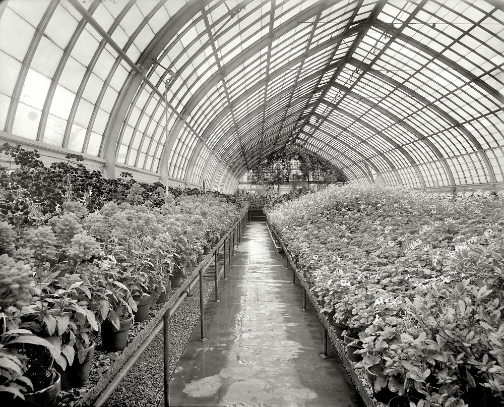 Phipps Conservatory, Schenley Park, , Pittsburgh, 1910