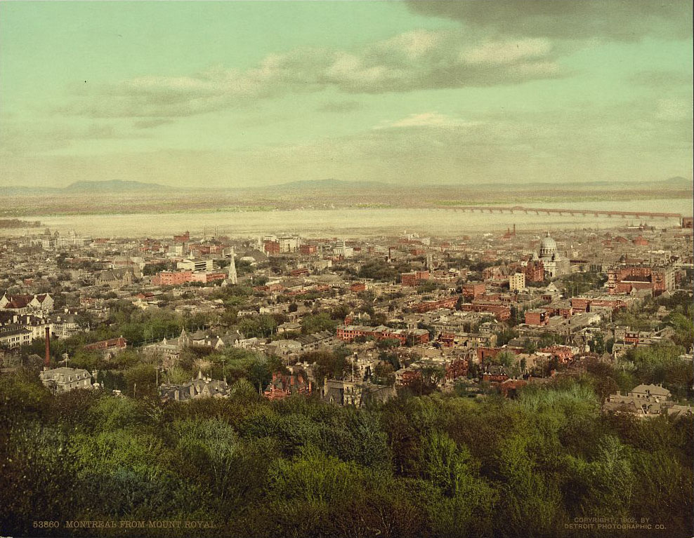 Montreal from Mount Royal, 1902