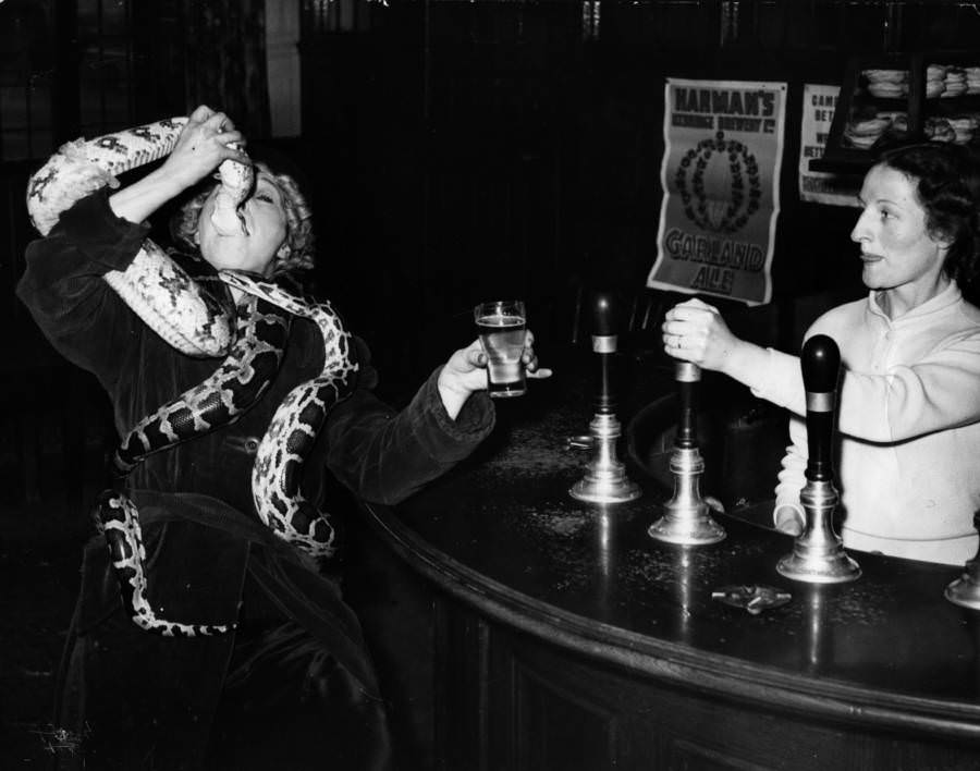 Circus performer Millie Kayes swallowing the head of a 12-foot python in the bar of the Peggy Bradford hotel, 1952