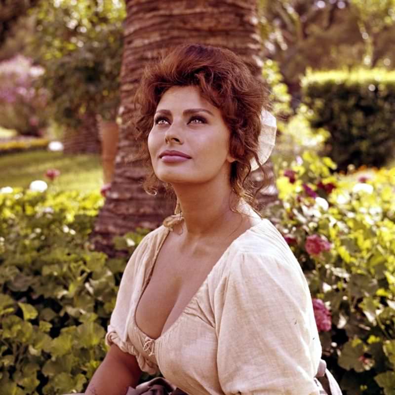 Beautiful Sophia Loren On The Set Of Madame, 1961