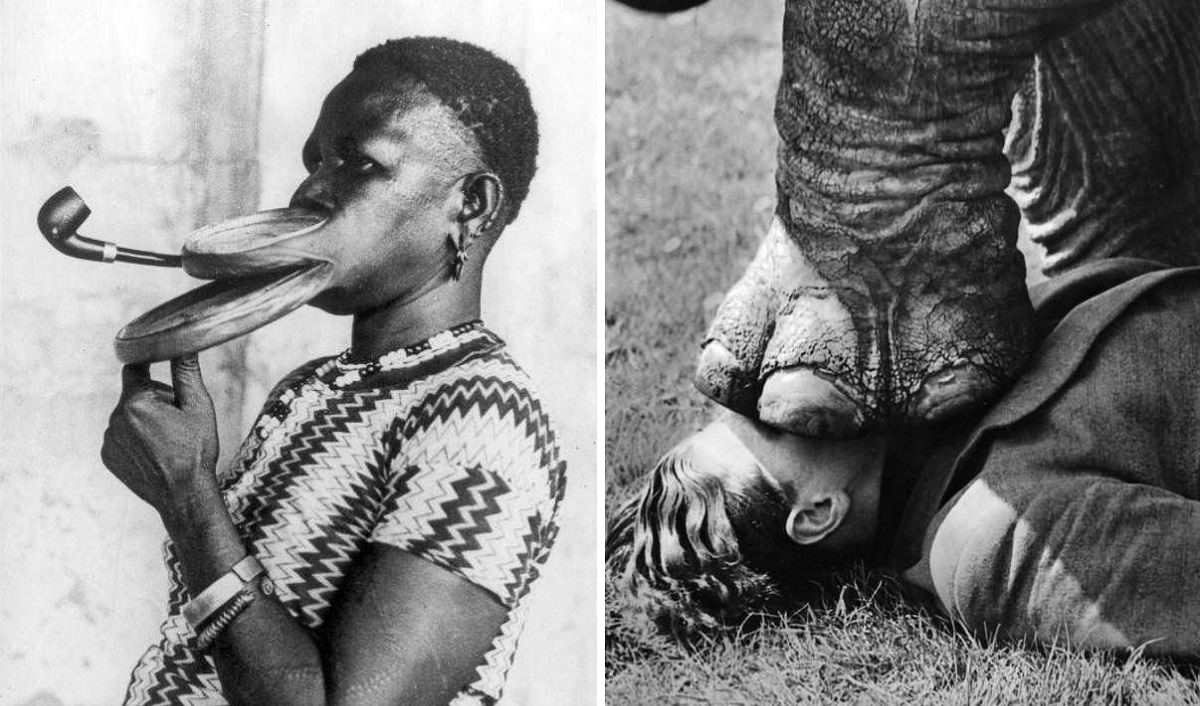 scary sideshows freak shows