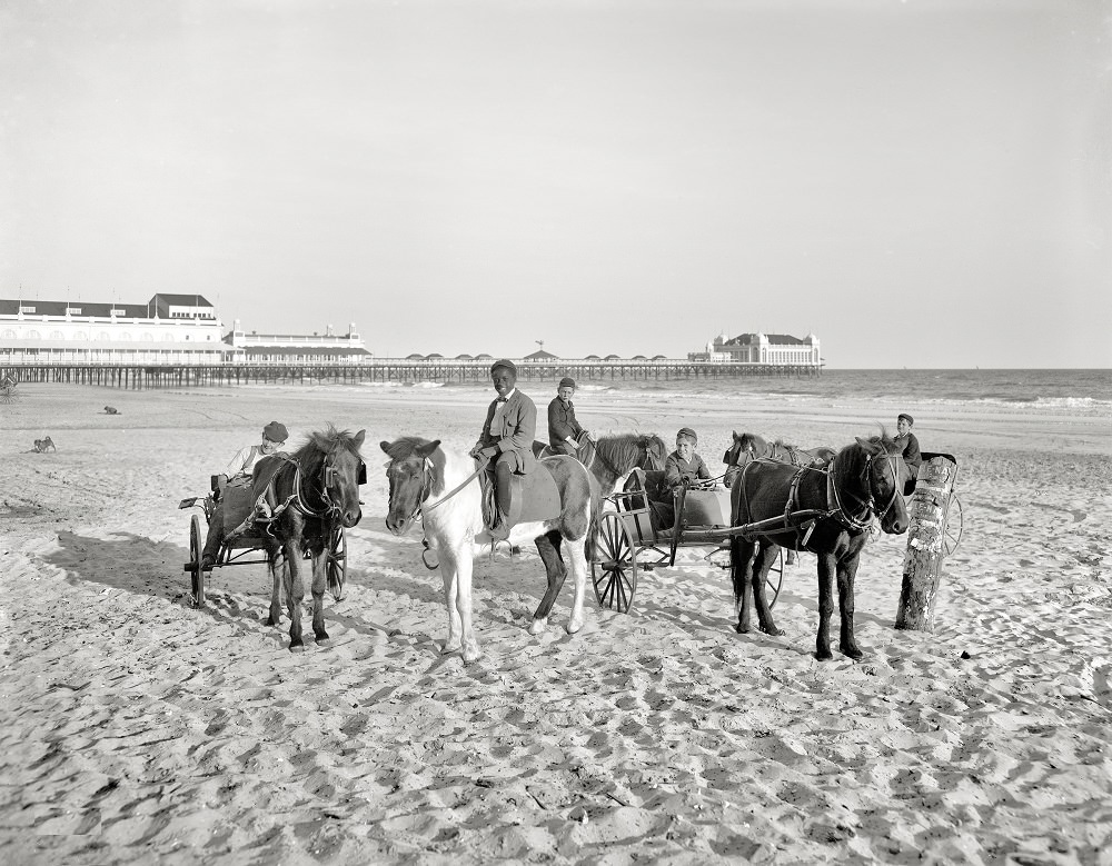 Ponies on the beach, Atlantic City, 1905