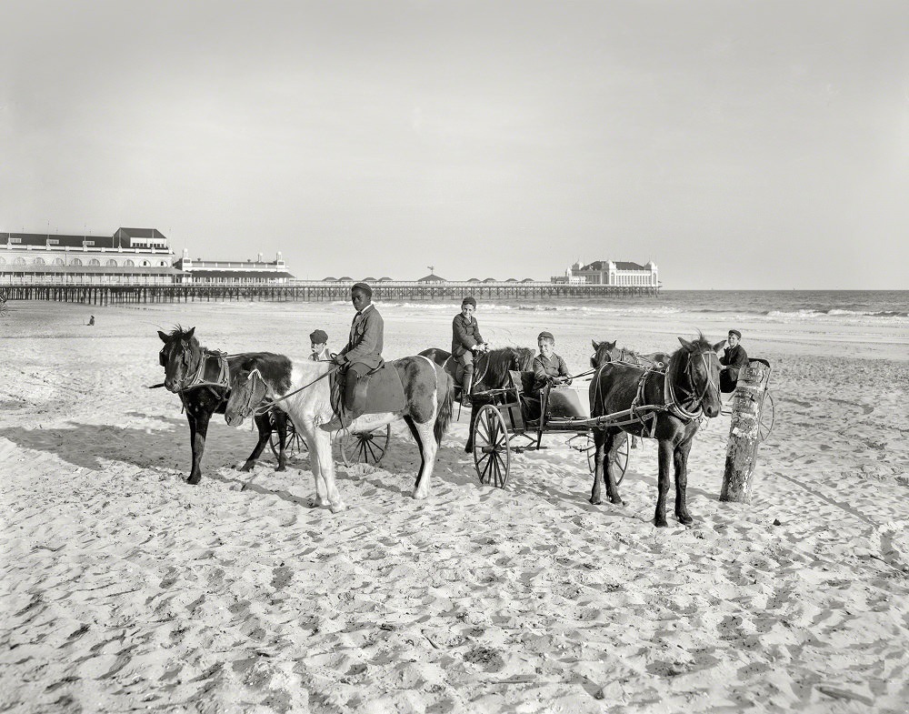 Ponies on the beach at Atlantic City, The Jersey Shore circa 1905