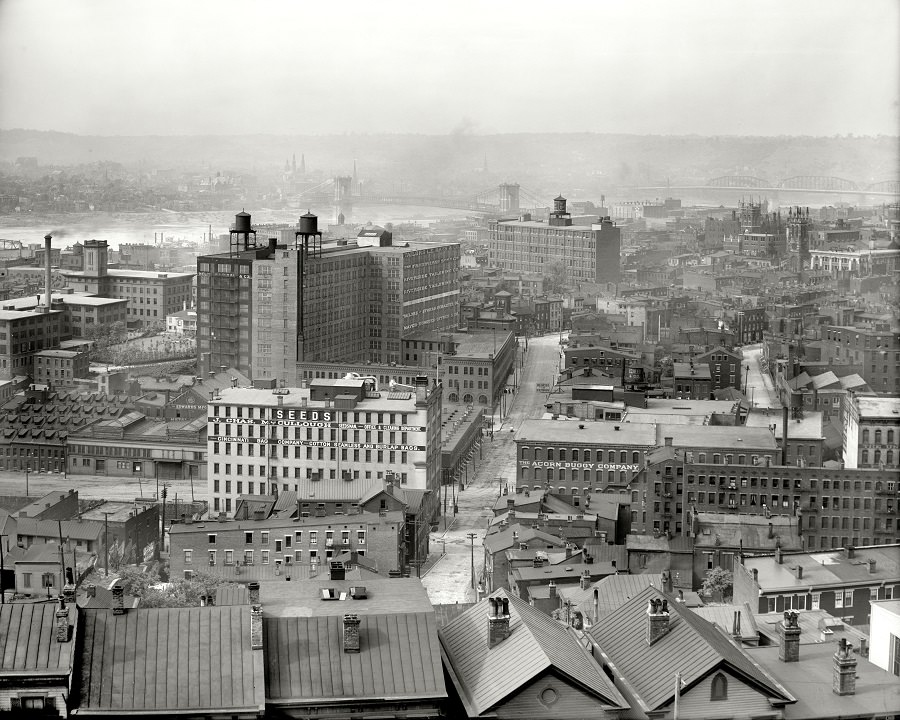 Cincinnati from Mount Adams, 1909