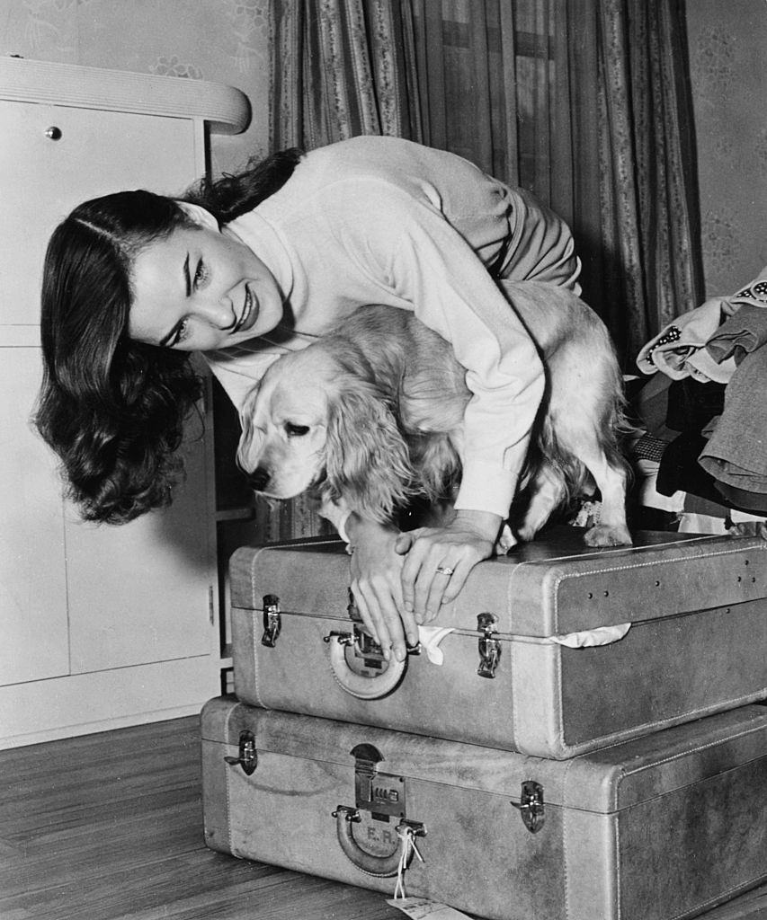 Ella Raines attempting to close her packed suitcases with her pet dog, circa 1943