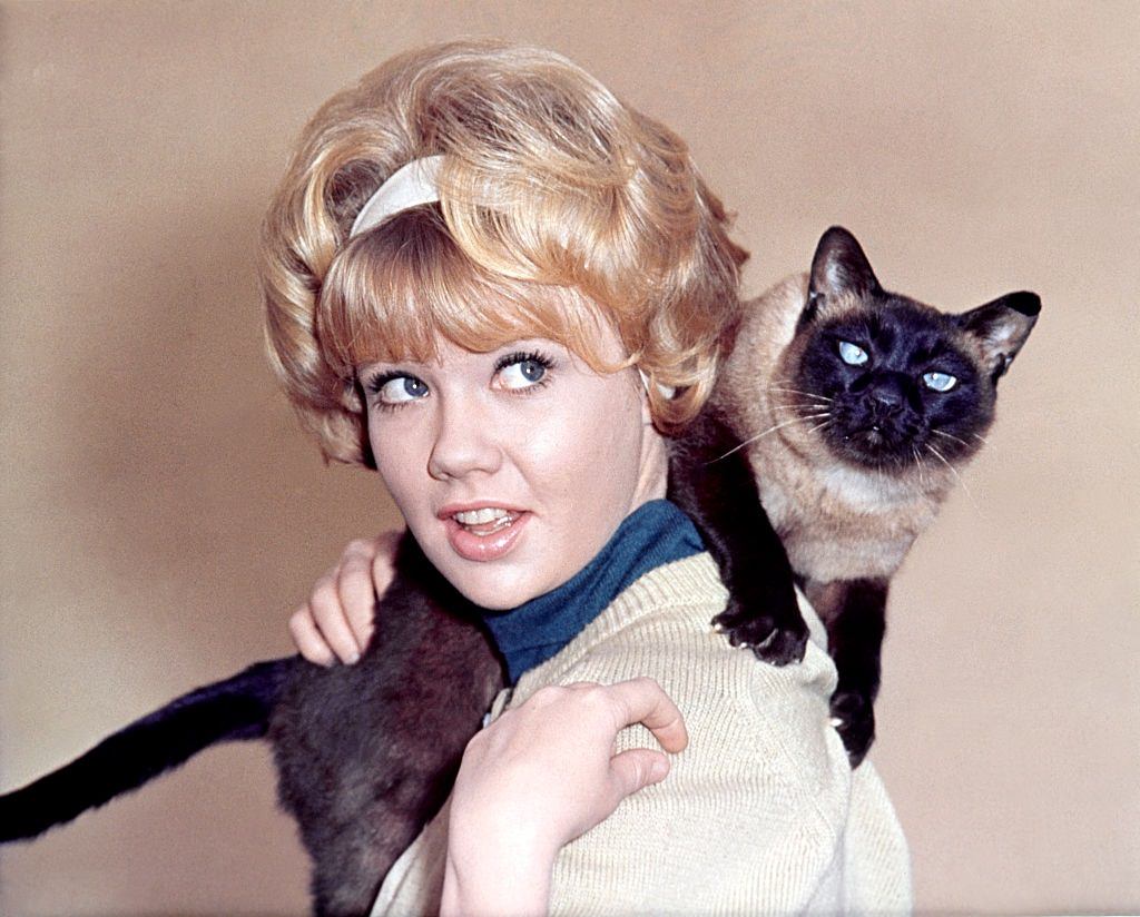 Hayley Mills on the set of "That Darn Cat", 1965