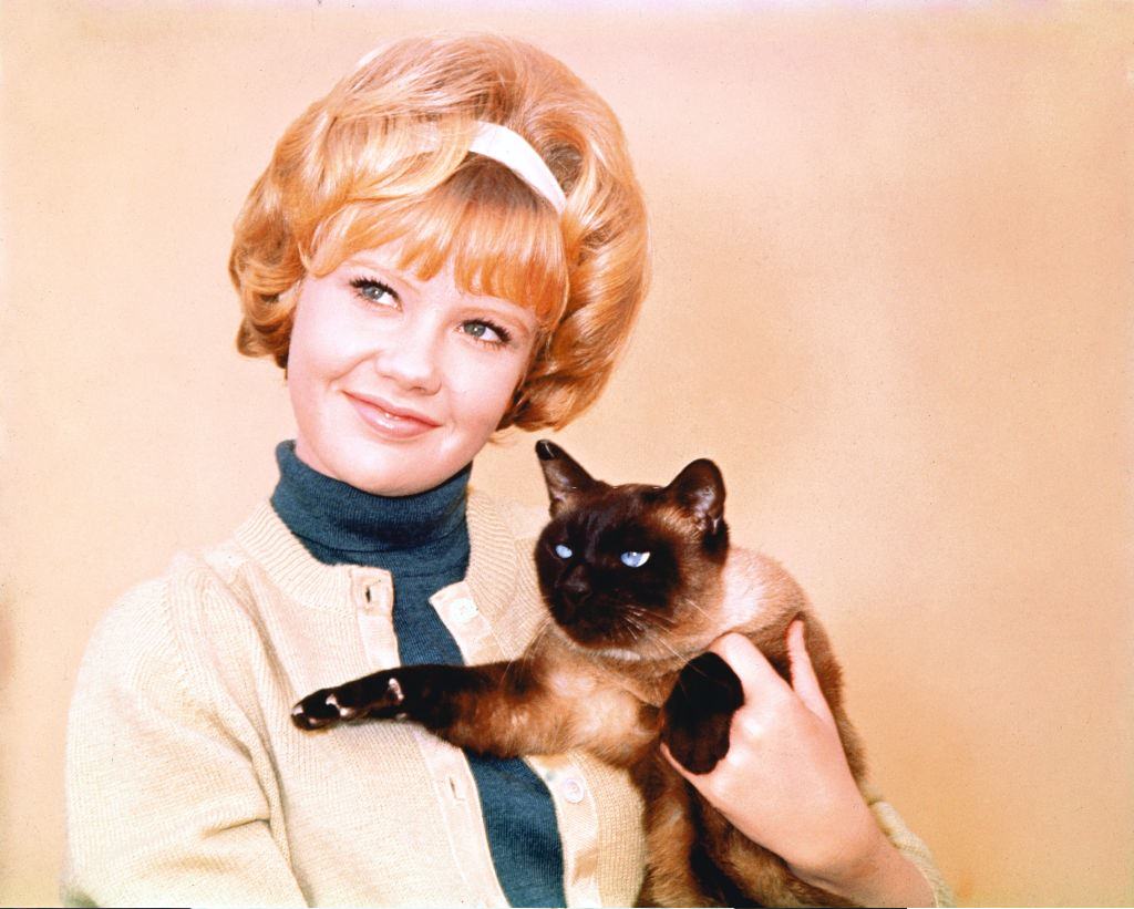 Hayley Mills wearing a blue polo neck jumper beneath a yellow cardigan for 'That Darn Cat!', 1965