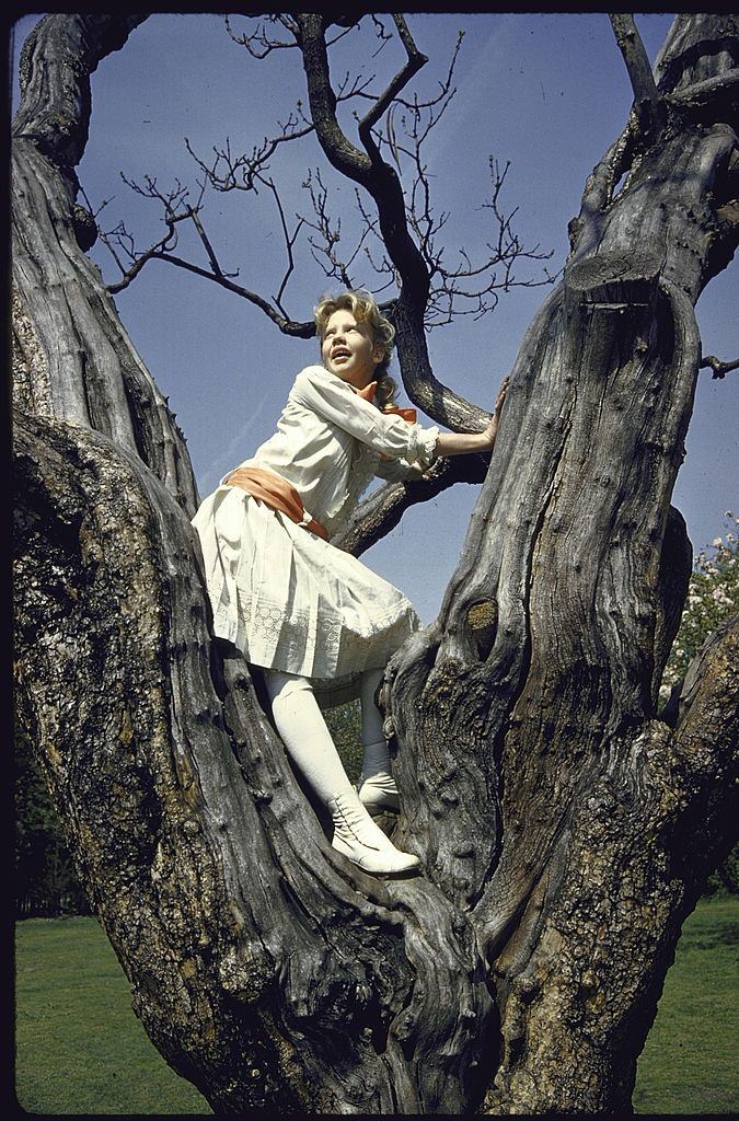 Hayley Mills sitting in a tree during the production of the movie Pollyanna.