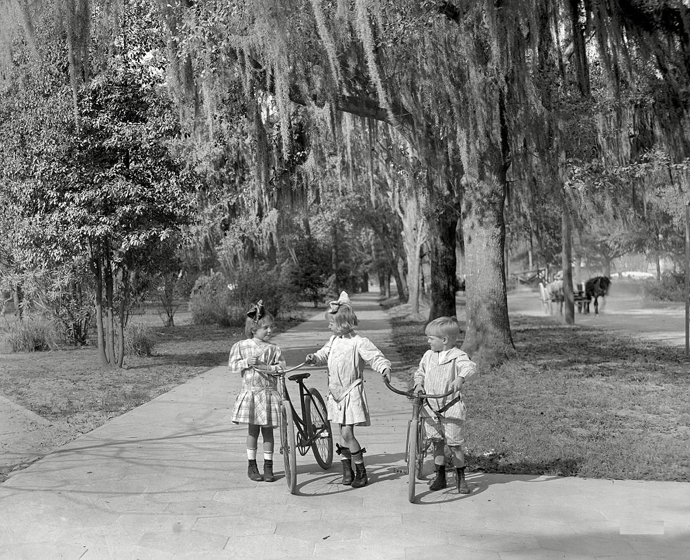 Entrance to Riverside Park, Jacksonville, 1910