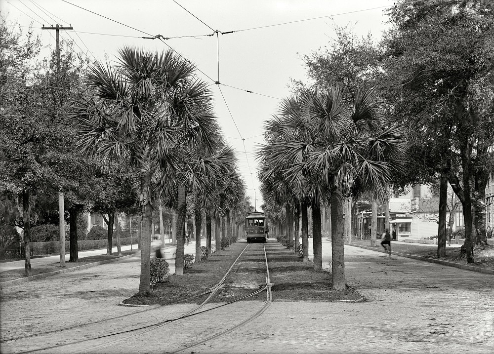 Main Street streetcar, Jacksonville, Florida, circa 1903