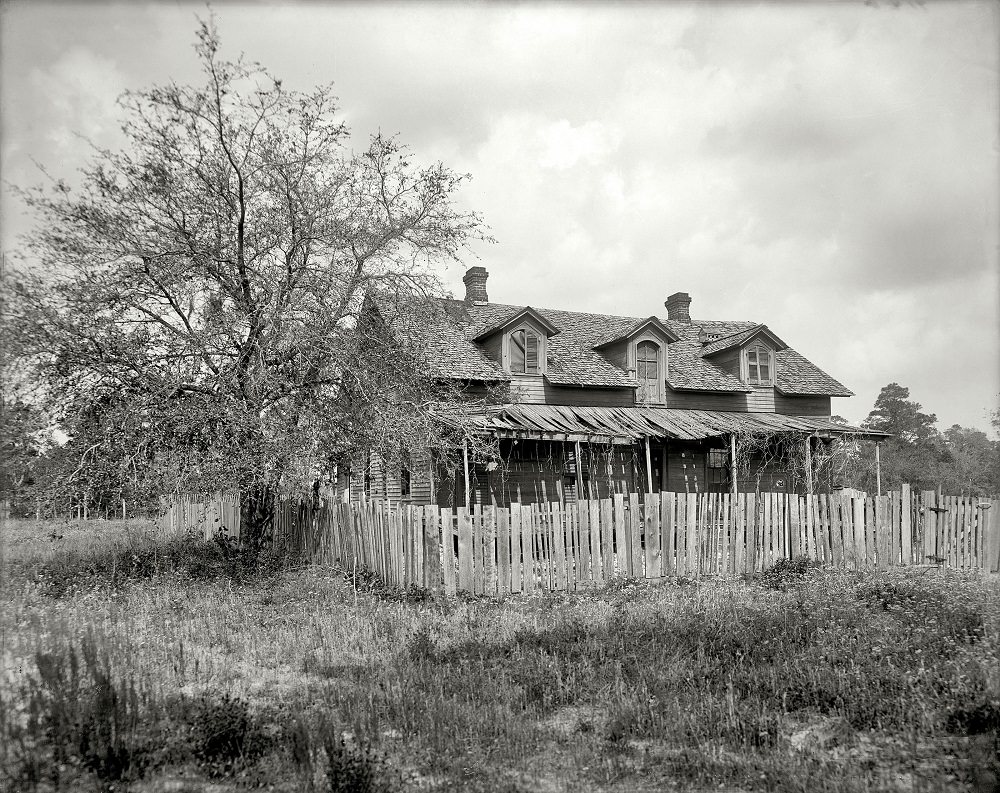 A Darky Homestead, Jacksonville, Florida, 1905