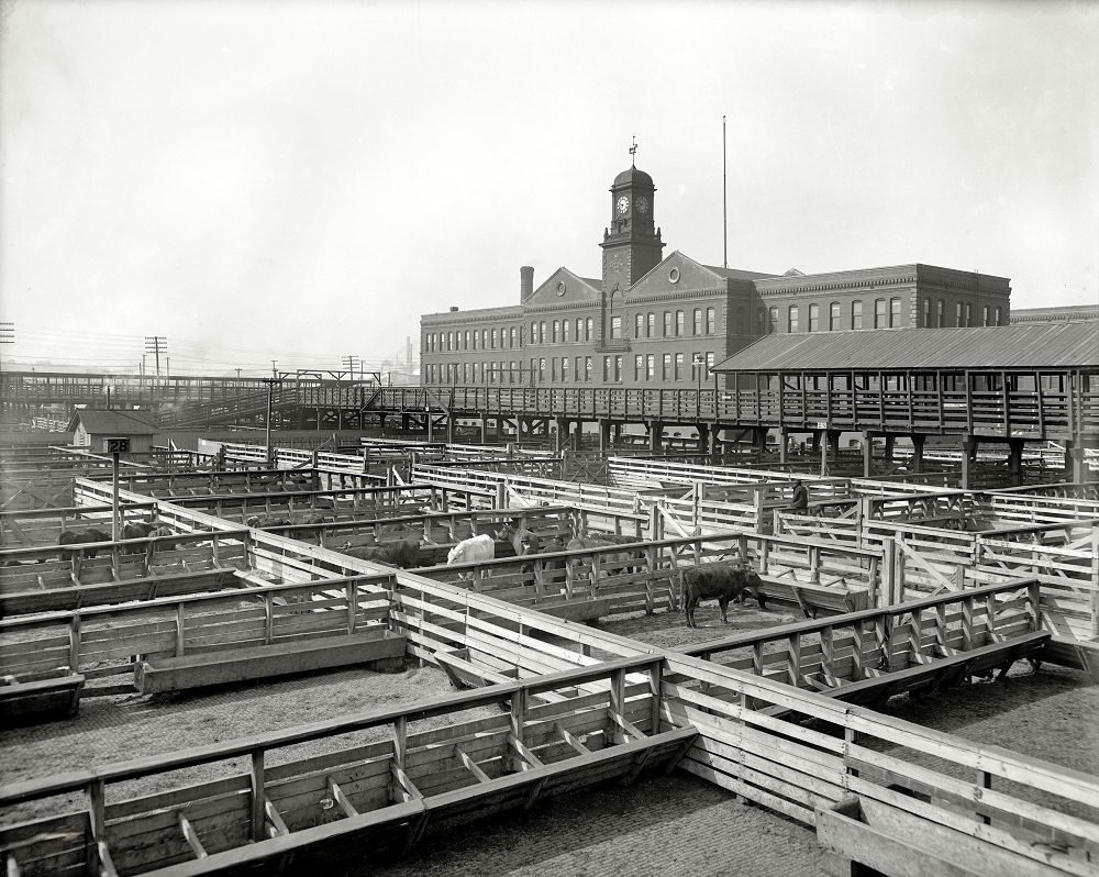 Kansas City livestock exchange, 1906