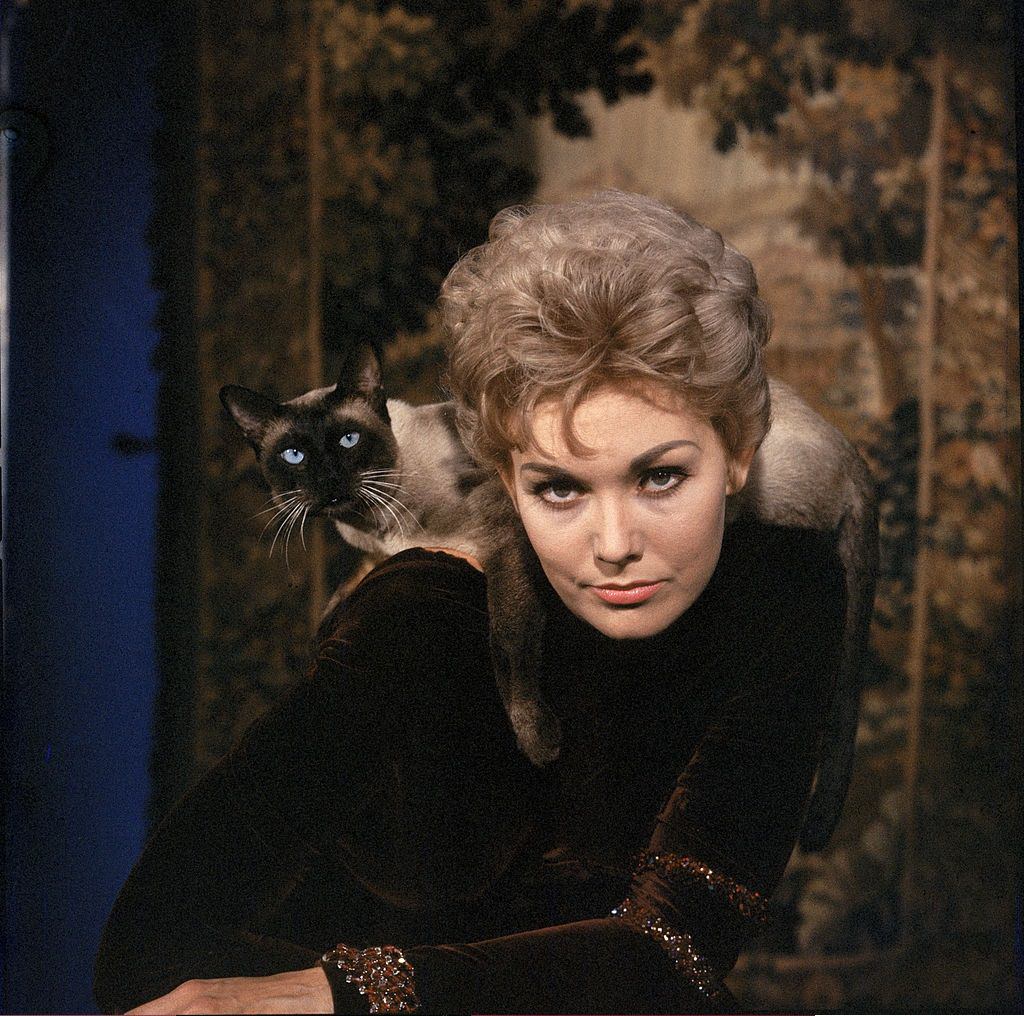 Kim Novak with Siamese cat