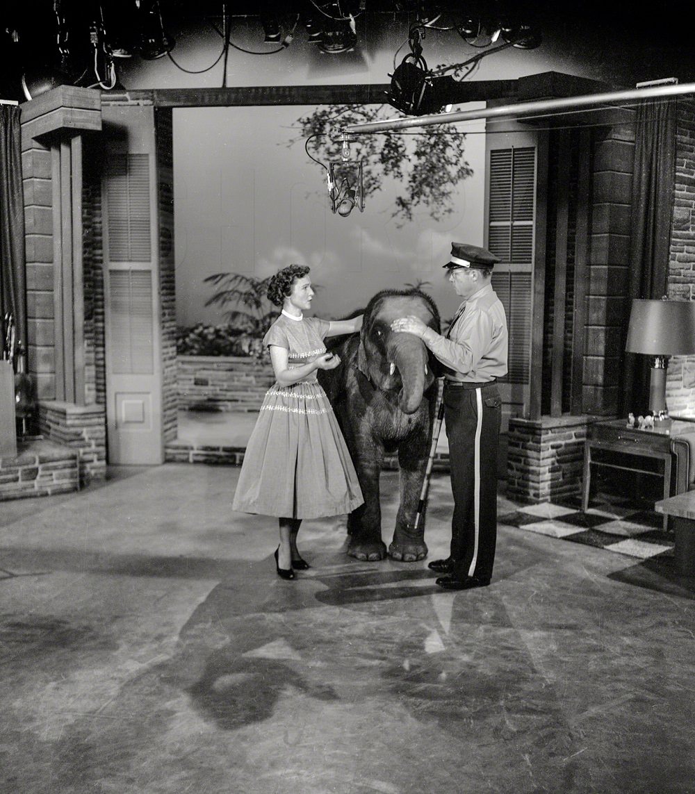 Betty White with elephant on her daytime TV show, Los Angeles, 1954