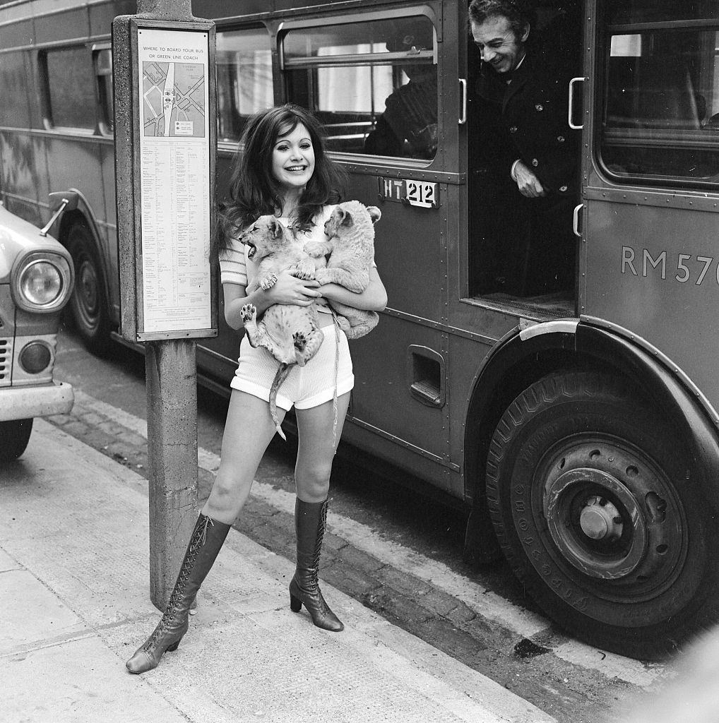 Madeline Smith holding lion cubs, 1971