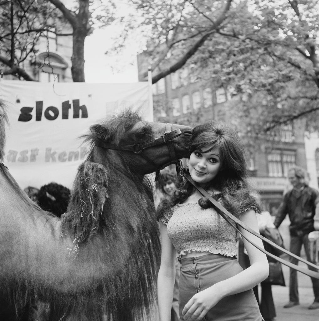 Madeline Smith with a camel, 1972