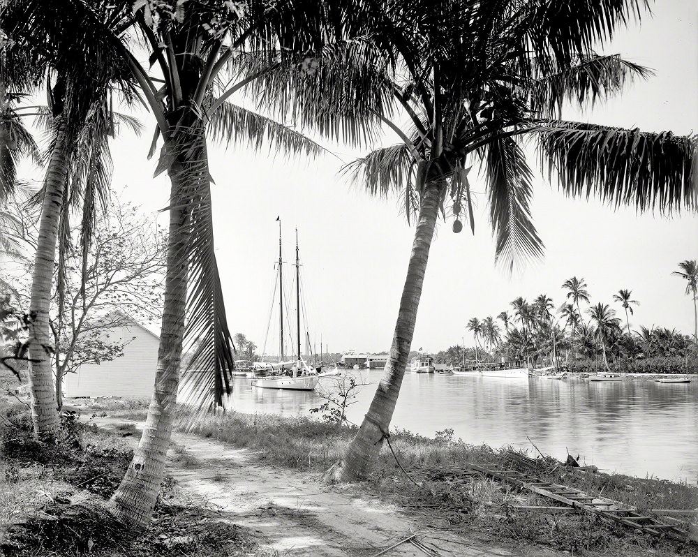 On the Miami River, 1904