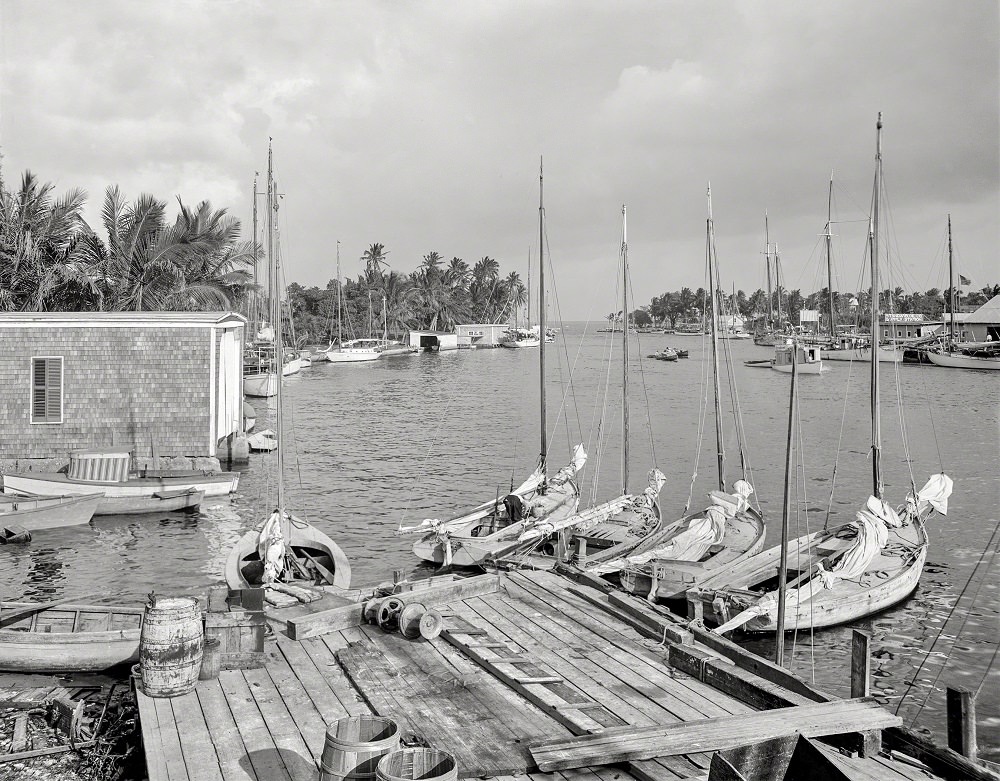 Mouth of the Miami River and Biscayne Bay, Miami circa 1910