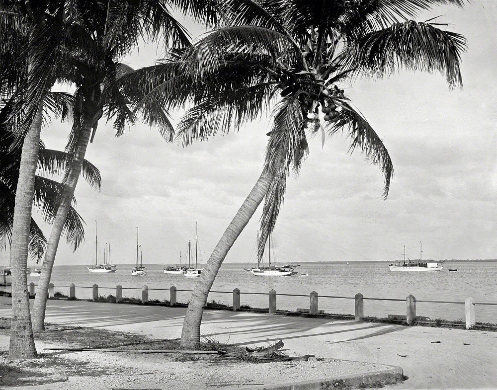 Biscayne Bay, Miami, 1912