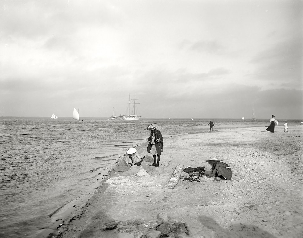 The shores of Biscayne Bay, Miami, Florida, 1910