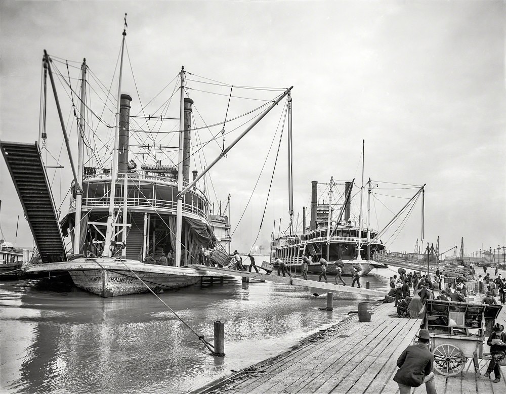 Maison Blanche, Canal Street, New Orleans circa 1910