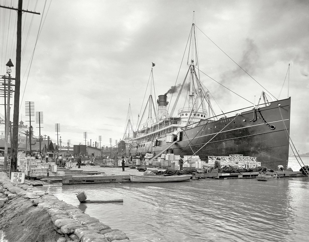 S.S. Proteus and High water at New Orleans levee, 1903