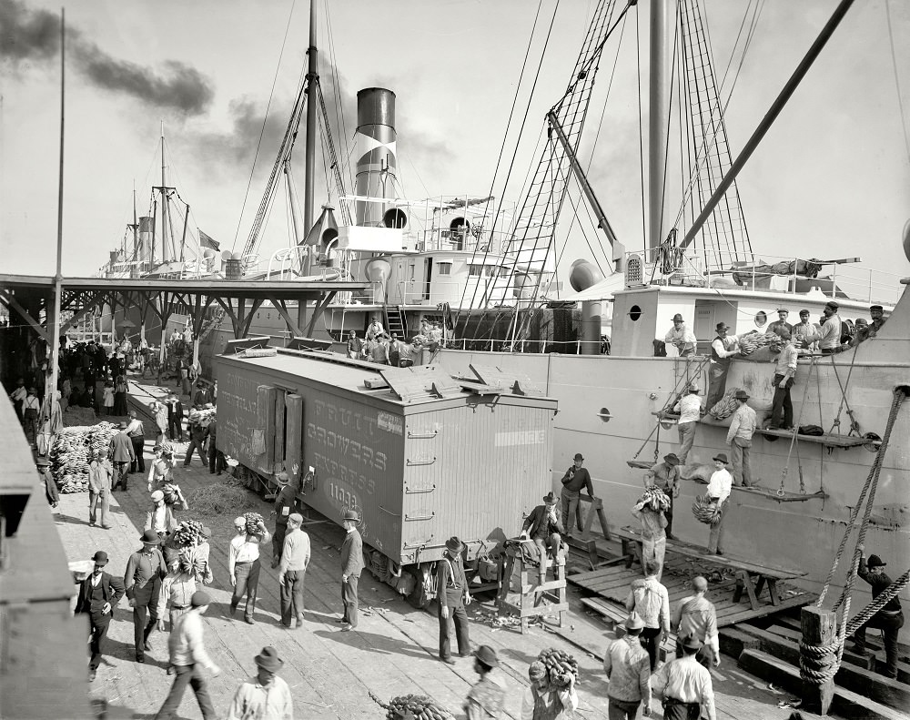 Unloading bananas at New Orleans, Louisiana, 1903