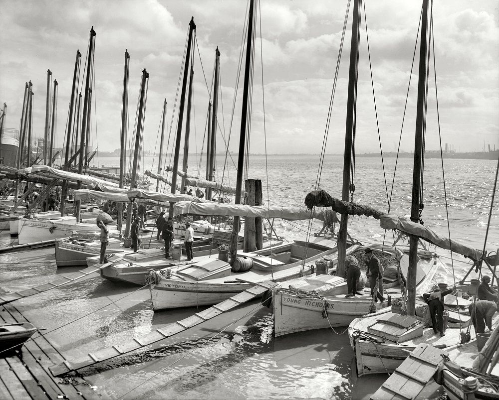 Oyster luggers at New Orleans, 1906