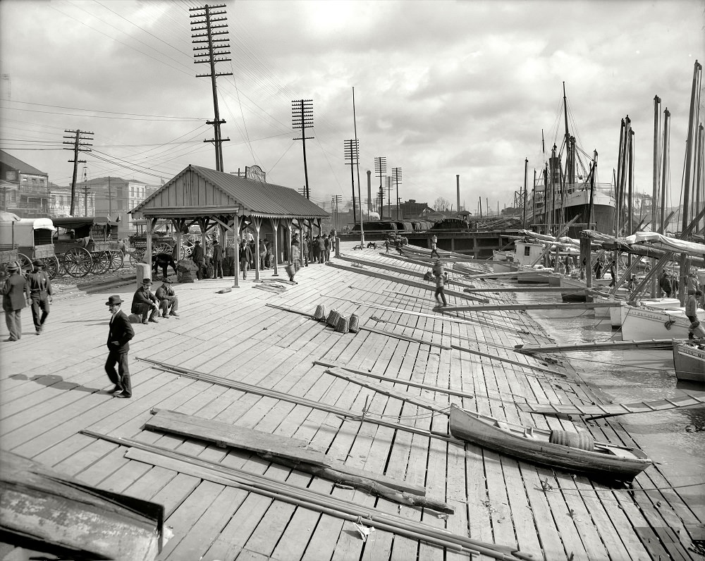 Oyster luggers at New Orleans, along the Mississippi, 1906