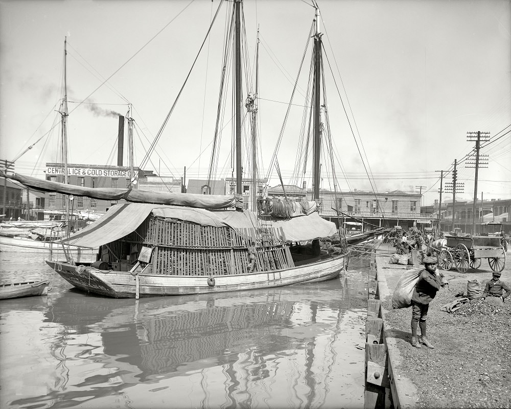 Charcoal lugger in the Old Basin, New Orleans circa 1906