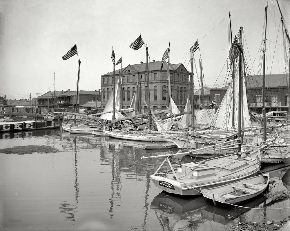 Oyster and charcoal luggers in the old basin, New Orleans circa 1908
