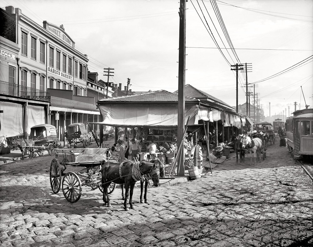 The French Market, New Orleans, The Crescent City circa 1906