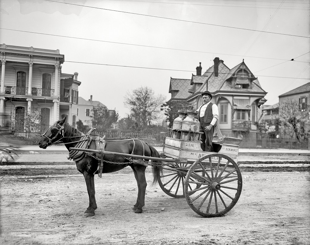 New Orleans milk cart, 1903