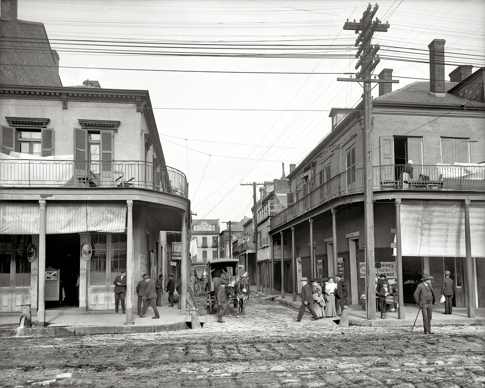 Italian headquarters, Madison Street, New Orleans circa 1906